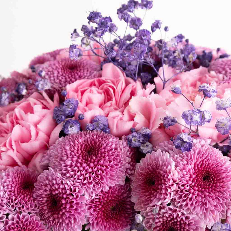 Lollipop Carnation Vase