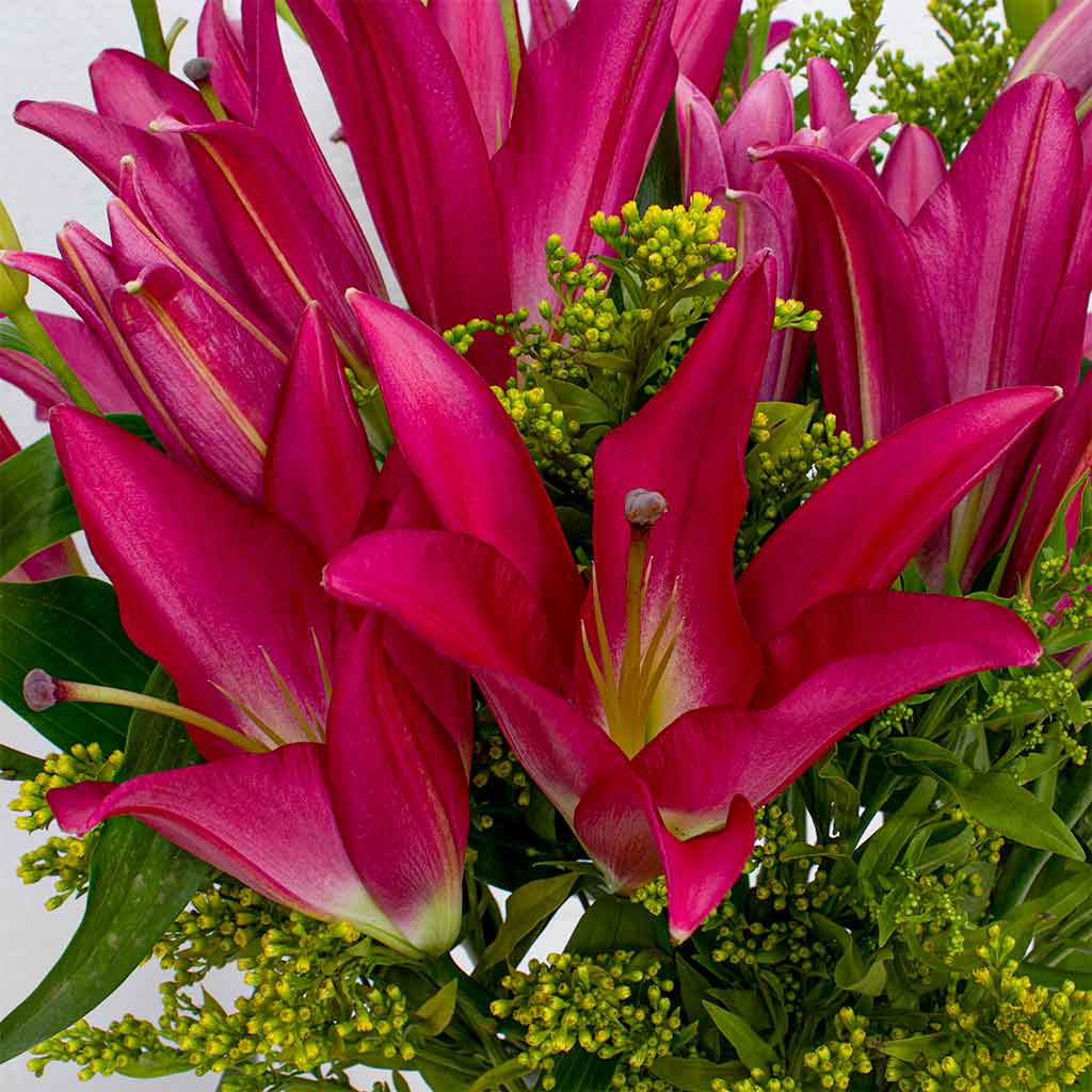 Pink Lily Vase