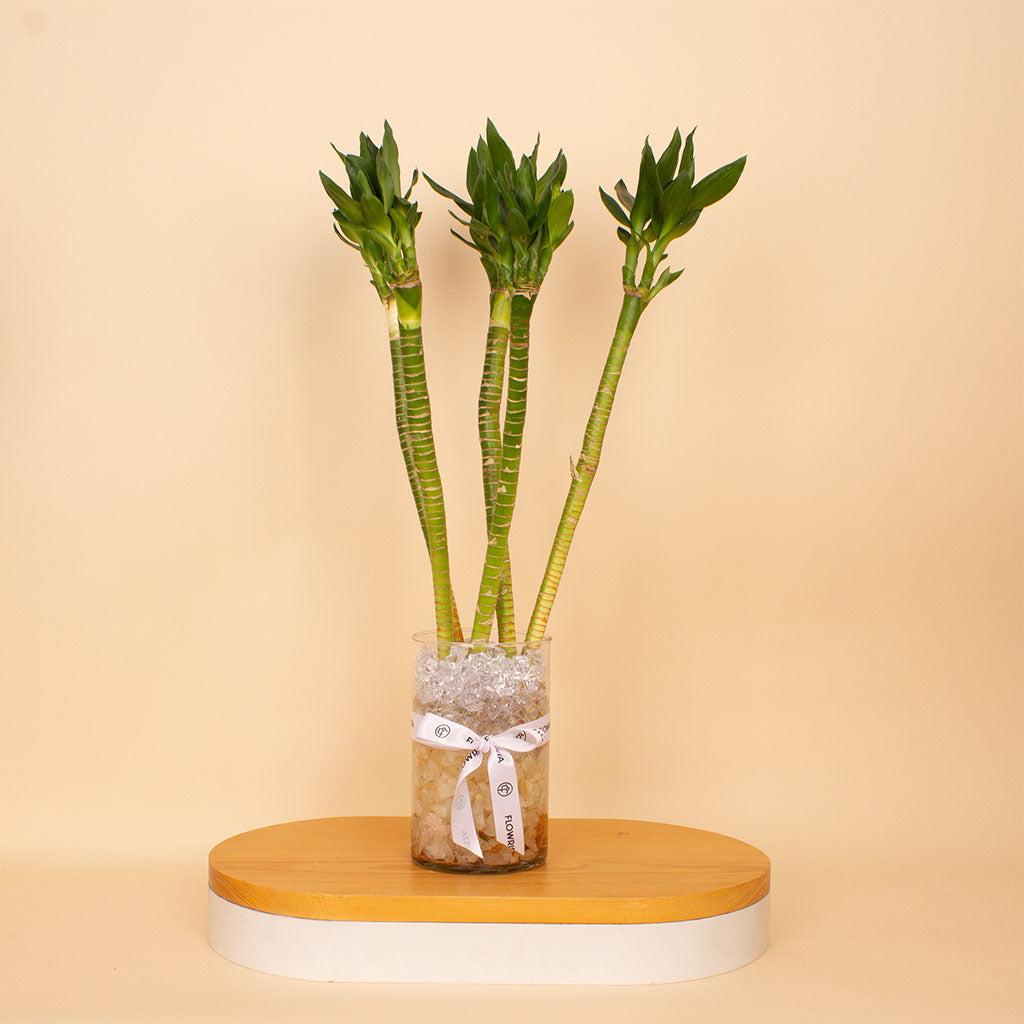 Harmony Lotus Bamboo Vase