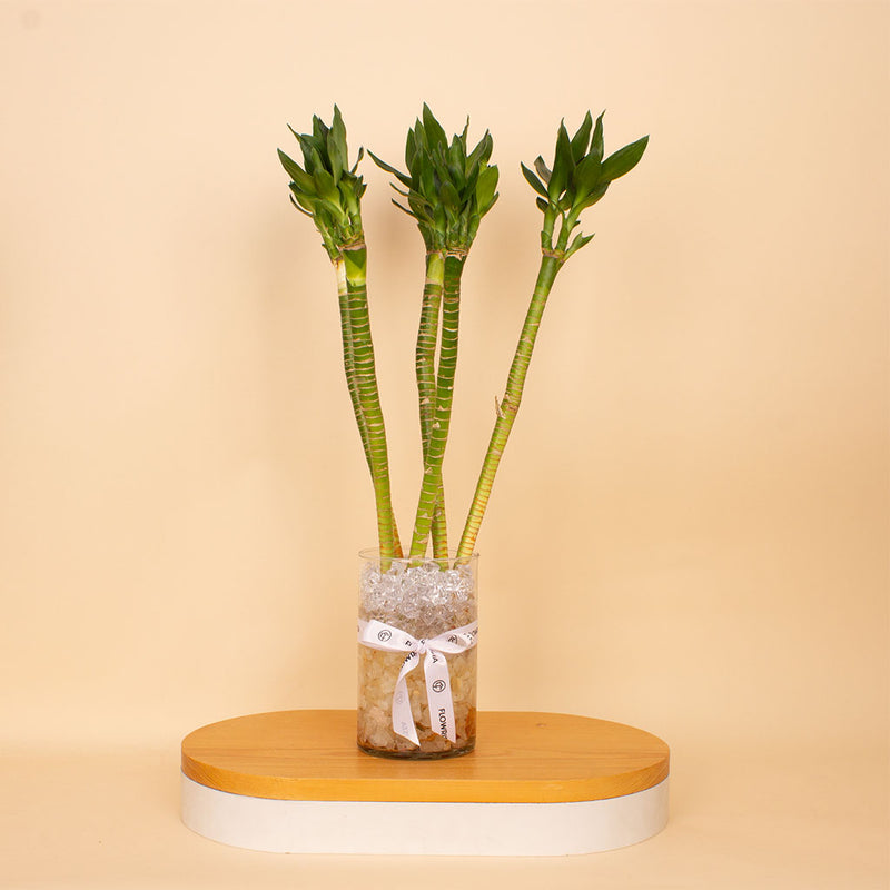 Harmony Lotus Bamboo Vase