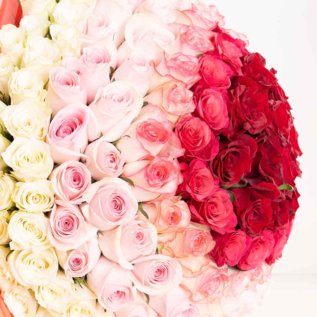 Romantic Spectrum Bouquet - 150 Roses