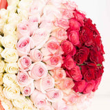 Romantic Spectrum Bouquet - 150 Roses