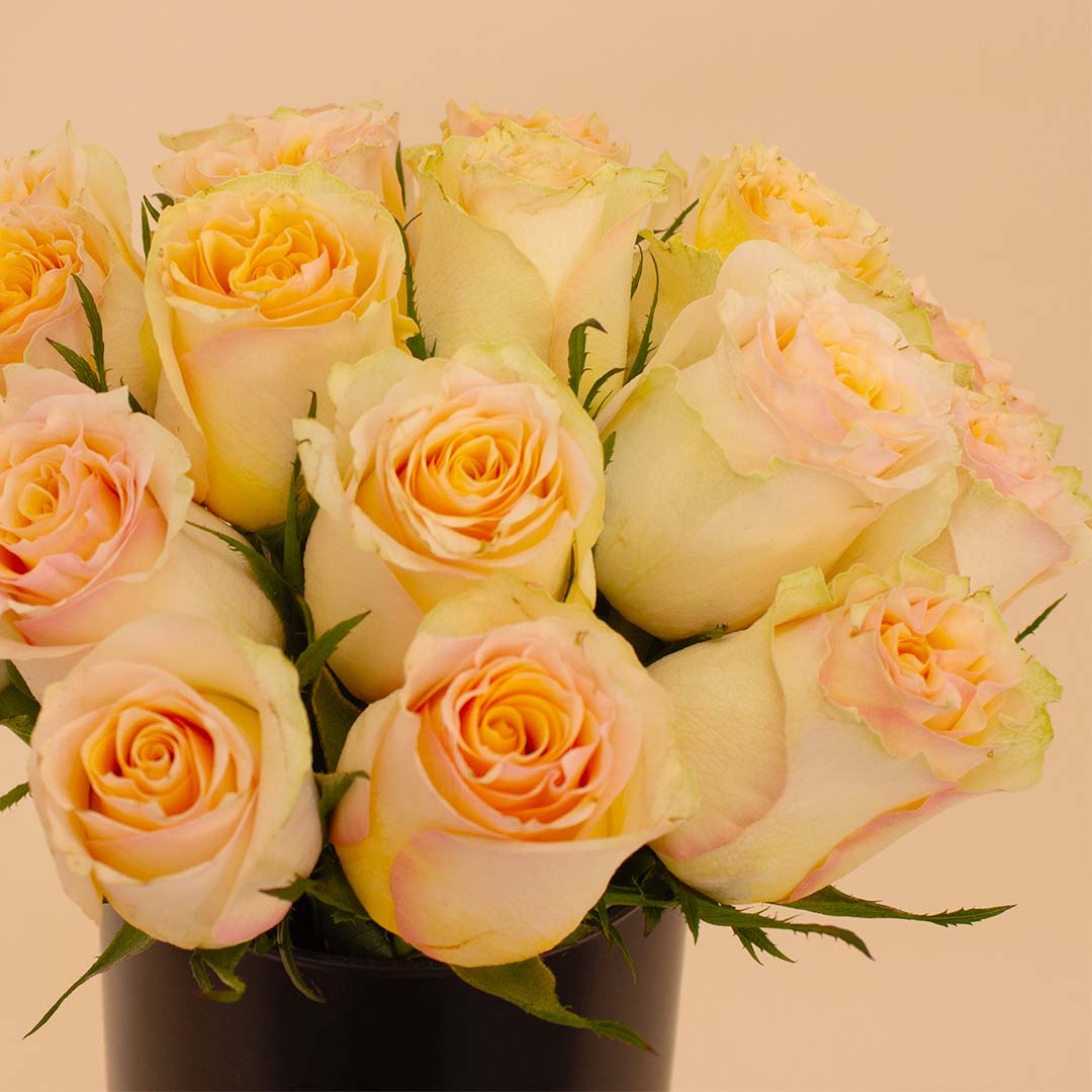 Flowrista | Simon Roses Vase – 20 Stems