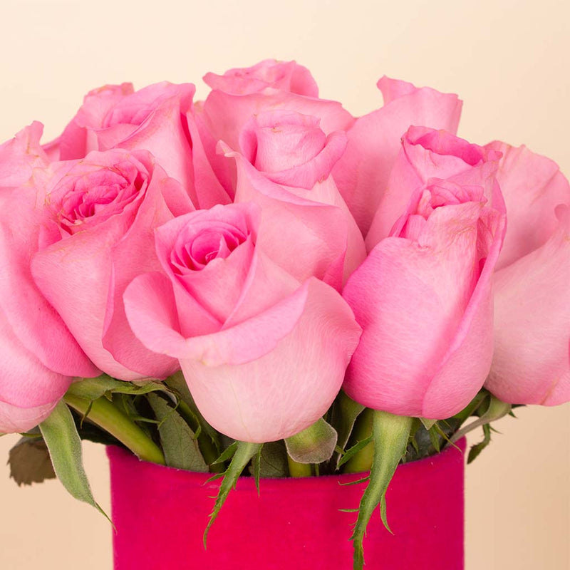 Pink Whisper Vase - 20 Stems