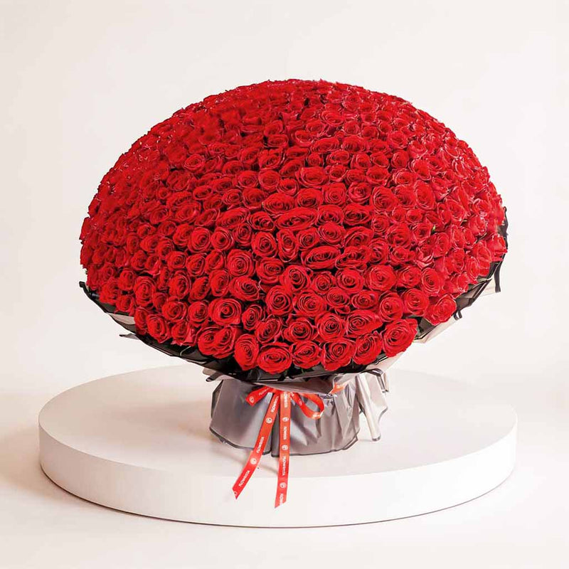 500 Red Flowers Bouquet
