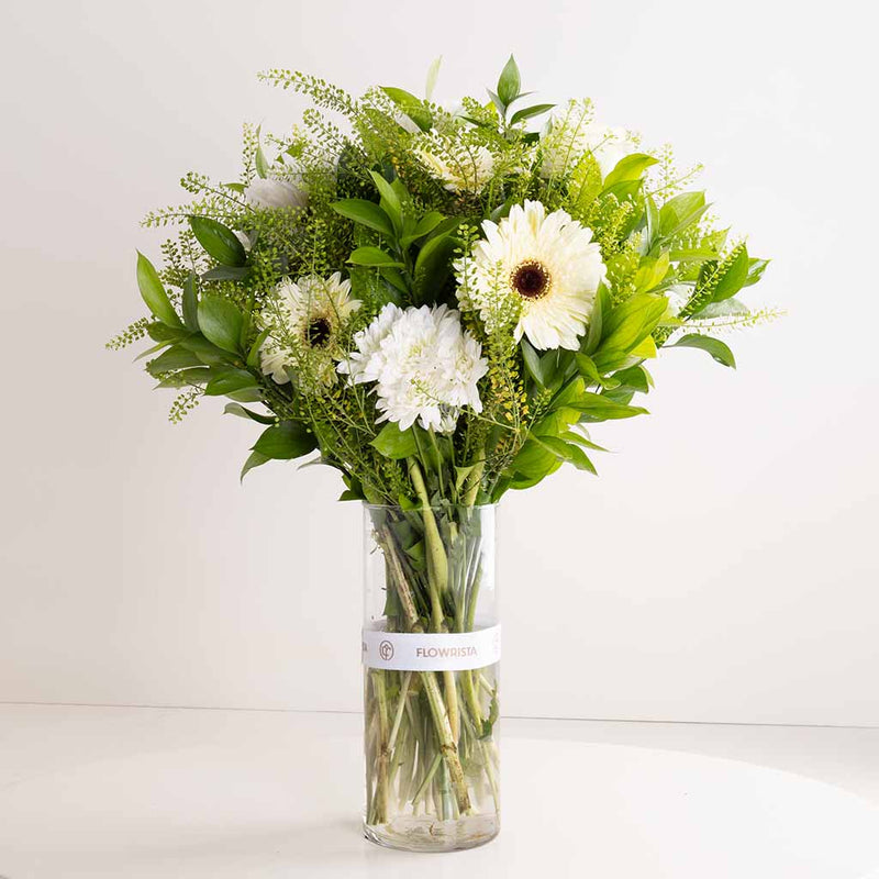 Whisper of White – Gerbera & Caranthantum Vase