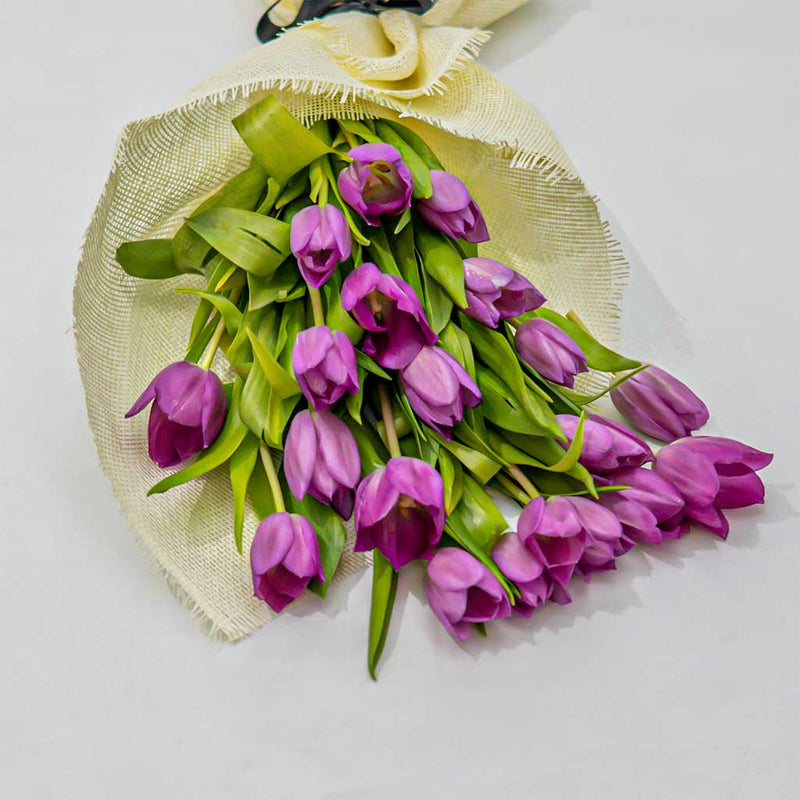 Tulip Bouquet