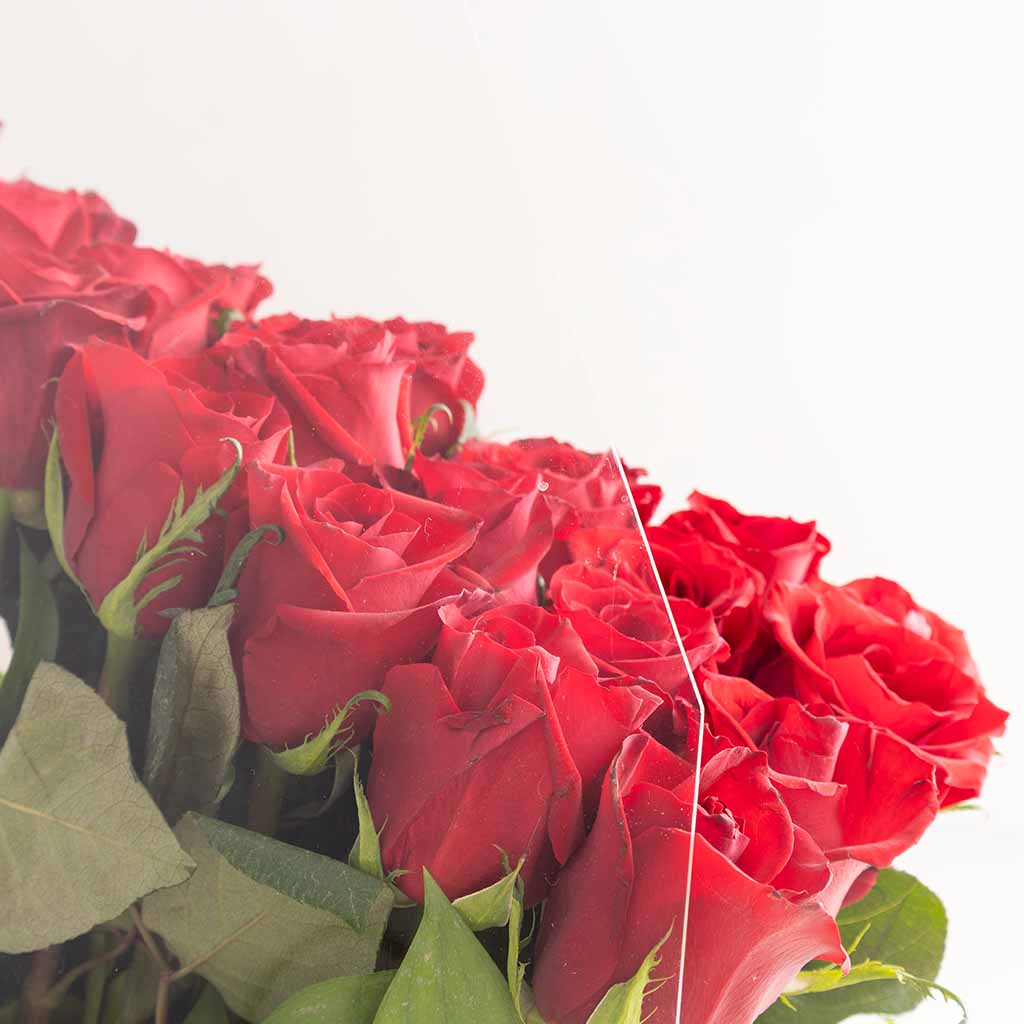 Red Roses Acrylic Bag - 70 Stems