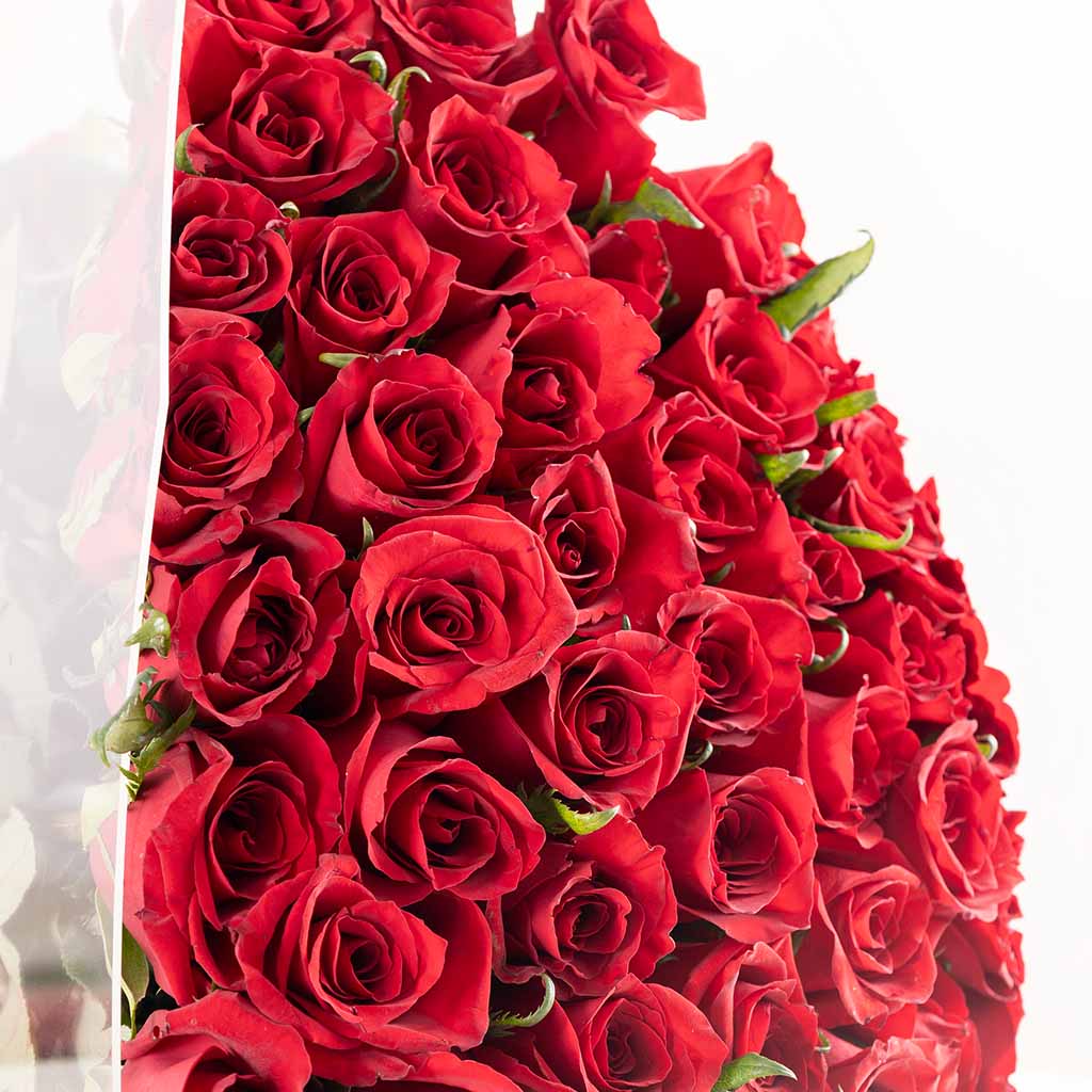 Flowrista Red Roses Acrylic Bag - 100 Stems