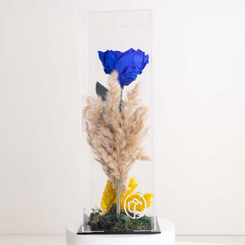Blue Eternity Rose