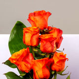 Flowrista | Orange Roses Vase