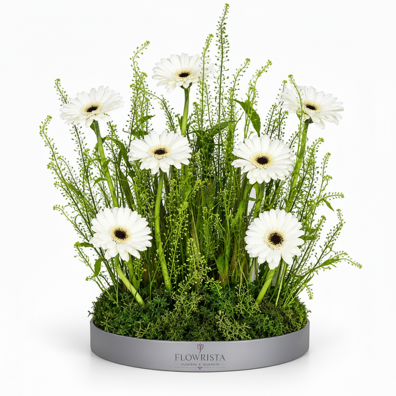 Flowrista White Gerbera Arrangement