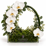 White orchids with eucalyptus and a curved green leaf arch in a rectangular Flowrista glass planter