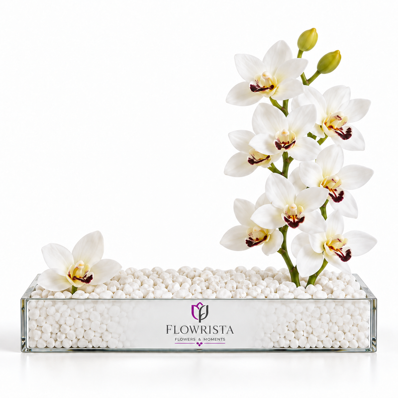 Flowrista white cymbidium orchid arrangement in a rectangular acrylic tray with white pebbles