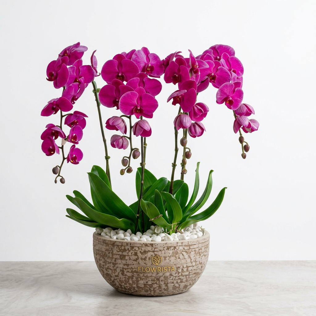 Four-stem artificial dark pink orchid arrangement with green leaves and white pebbles in a round Flowrista planter