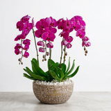 Four-stem artificial dark pink orchid arrangement with green leaves and white pebbles in a round Flowrista planter