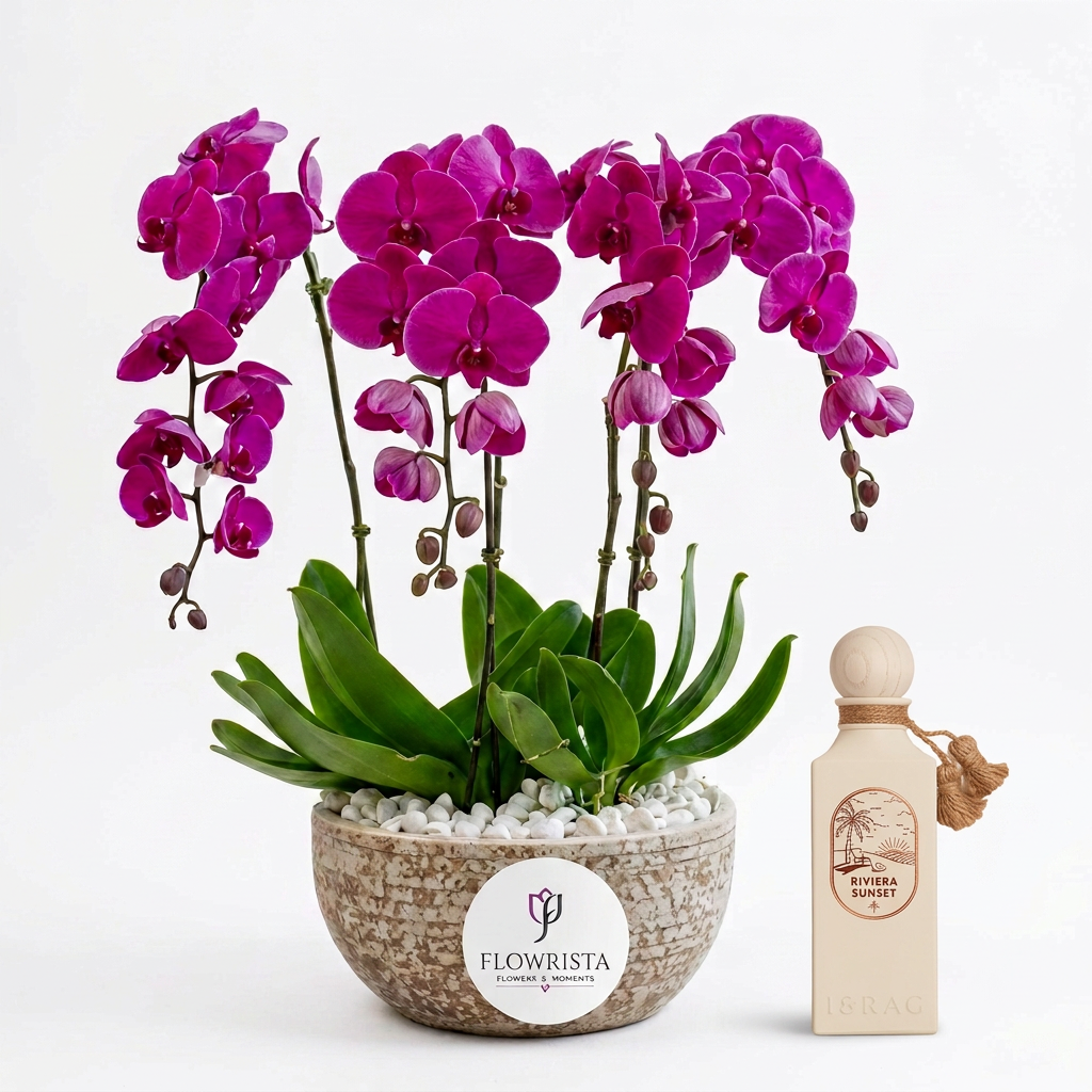 Riviera Sunset perfume beside a four-stem purple orchid plant in a textured Flowrista planter