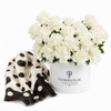 Mango ecru spots scarf with Flowrista white carnations hat box luxury gift set