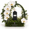 Black Carbon Diamond perfume framed by white orchids and a green leaf arch in a Flowrista glass planter