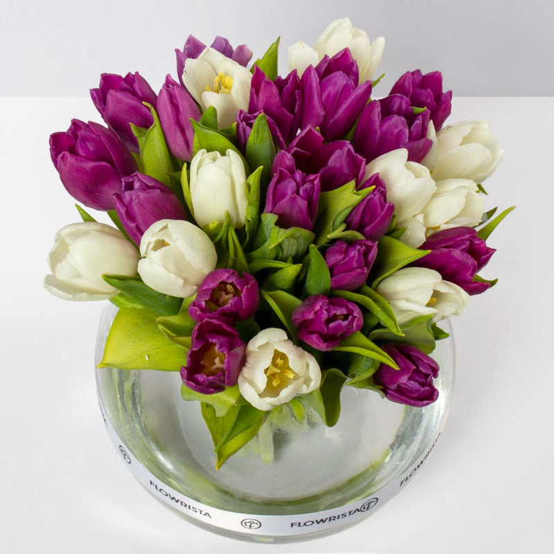 White & Purple Tulip Vase
