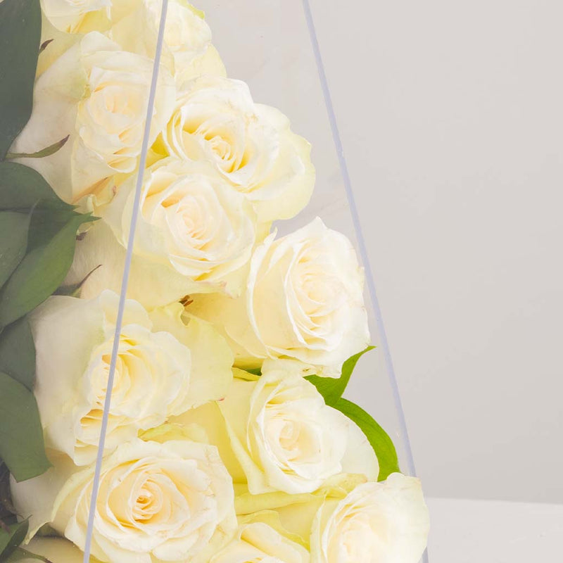 12 White Roses Bag with Patchi Tin Box of 22 Pieces