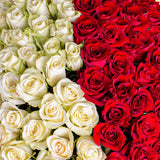 Box 250 RosesII
