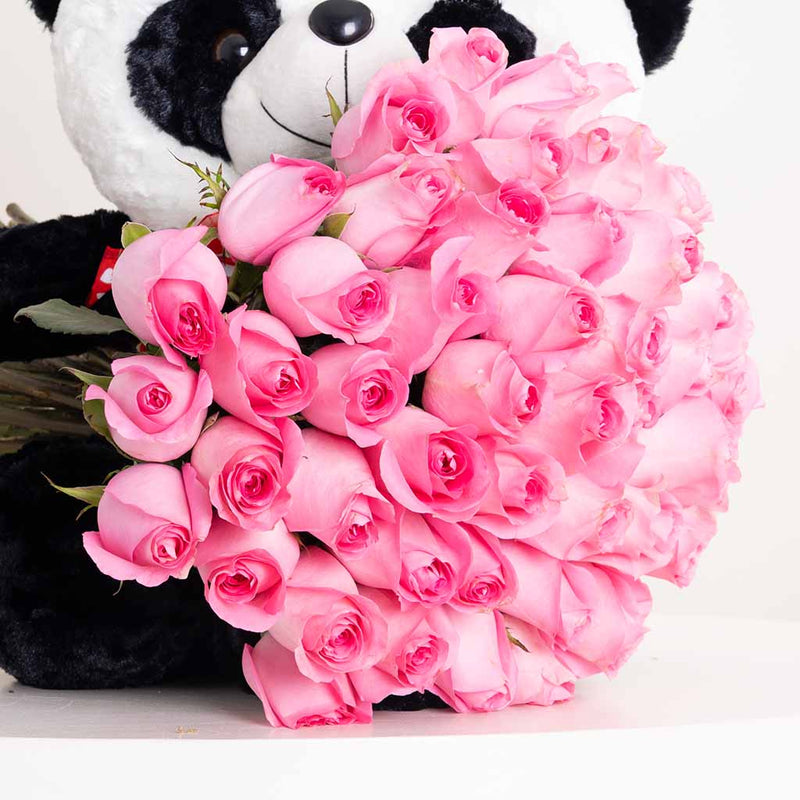 Panda Revival Love