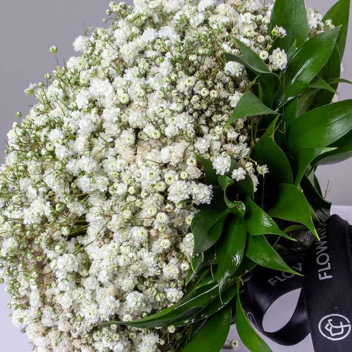 Gypsophila Wedding Bouquet