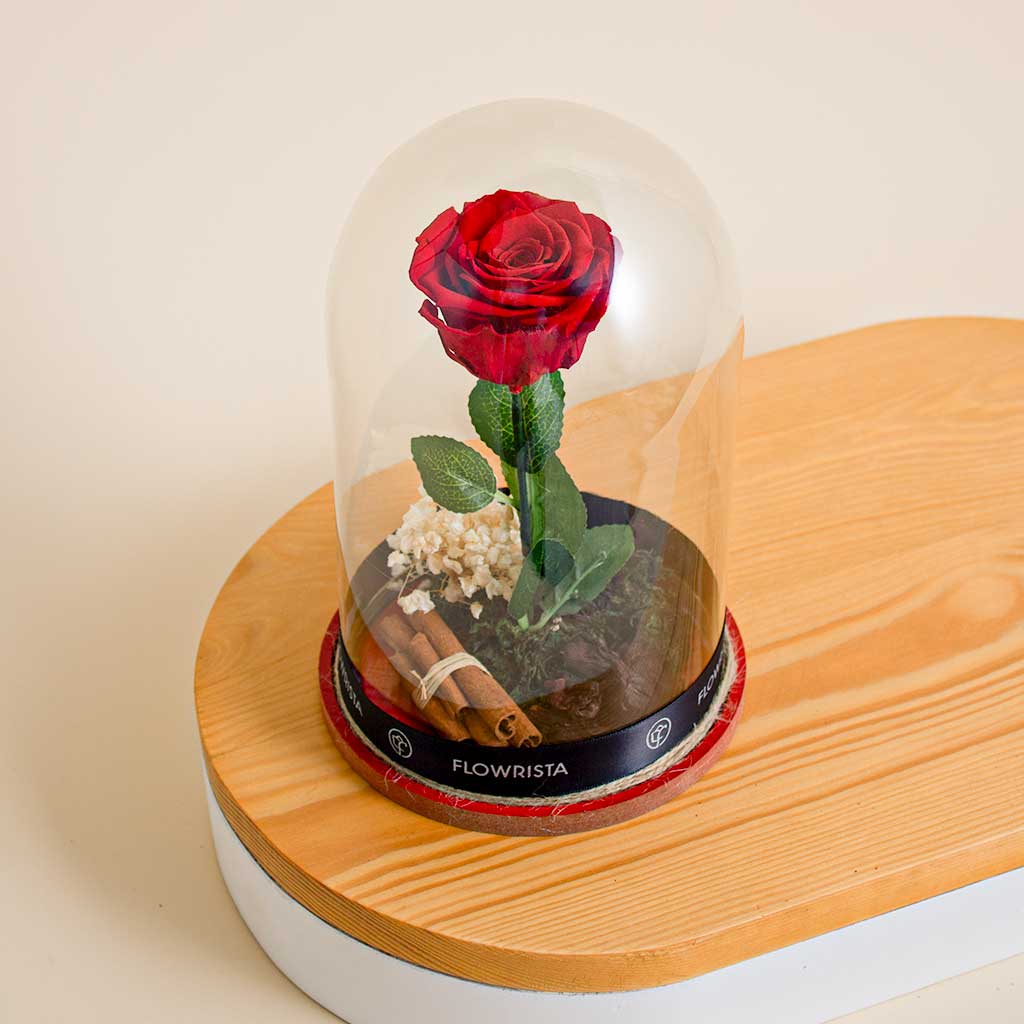 Red Eternity Rose