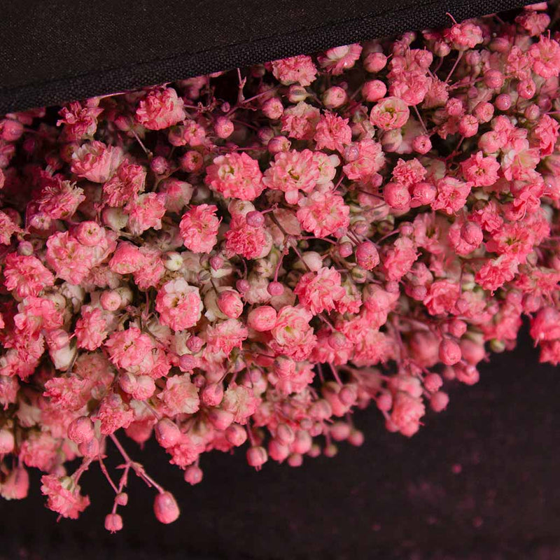 Graduation Cap with a Baby Flower Touch