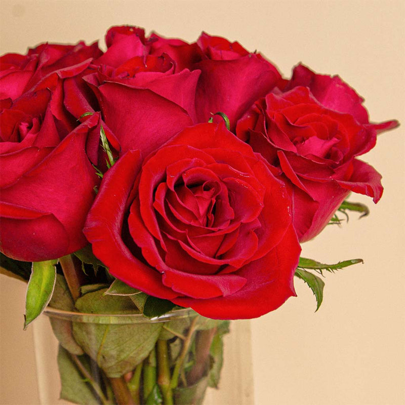 Red Rose Vase - 15 Roses for Valentine’s Day