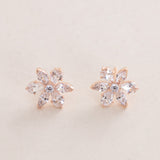 Pandora Sparkling Herbarium Cluster Stud Earrings 14k Rose Gold-Plated