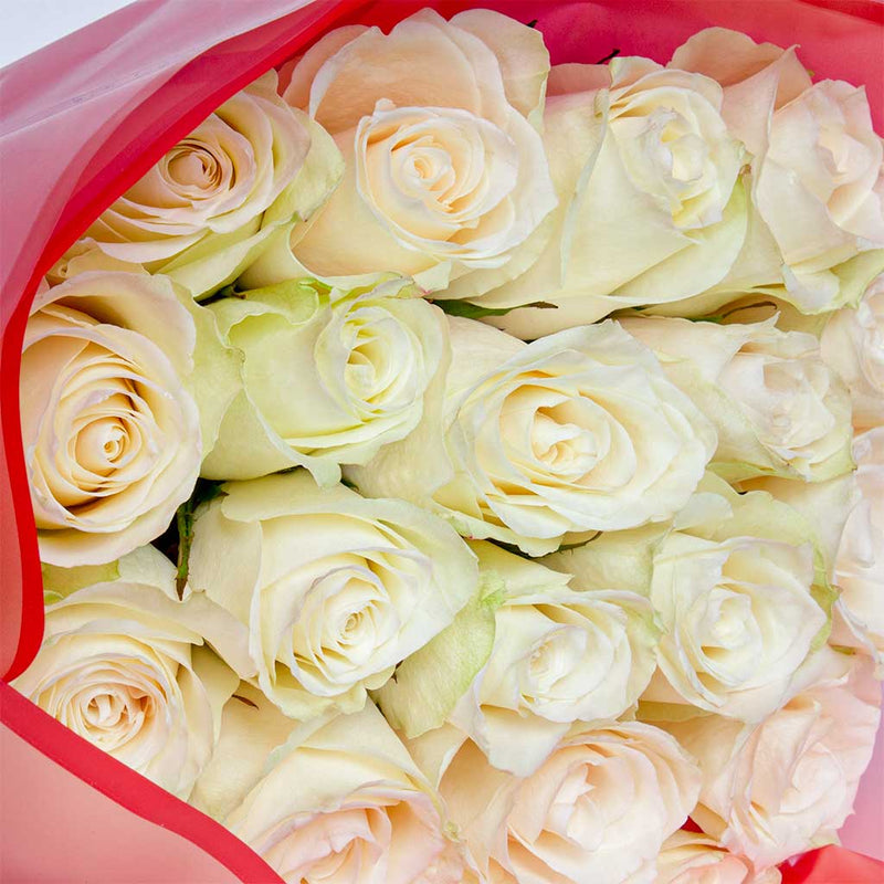 Elegant White Roses Bouquet | 20 Roses
