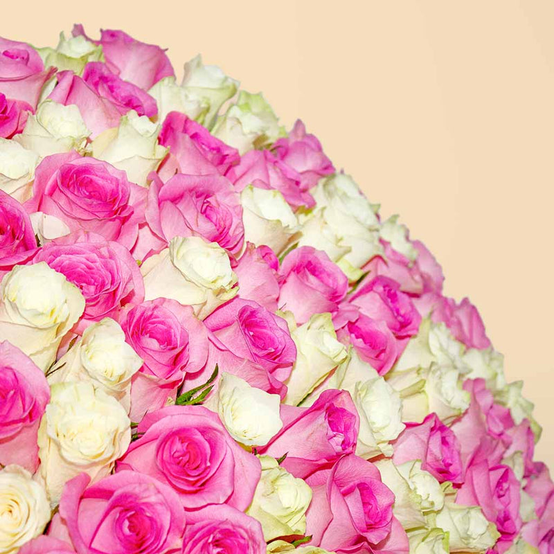 100 Pink And White Roses bouquet