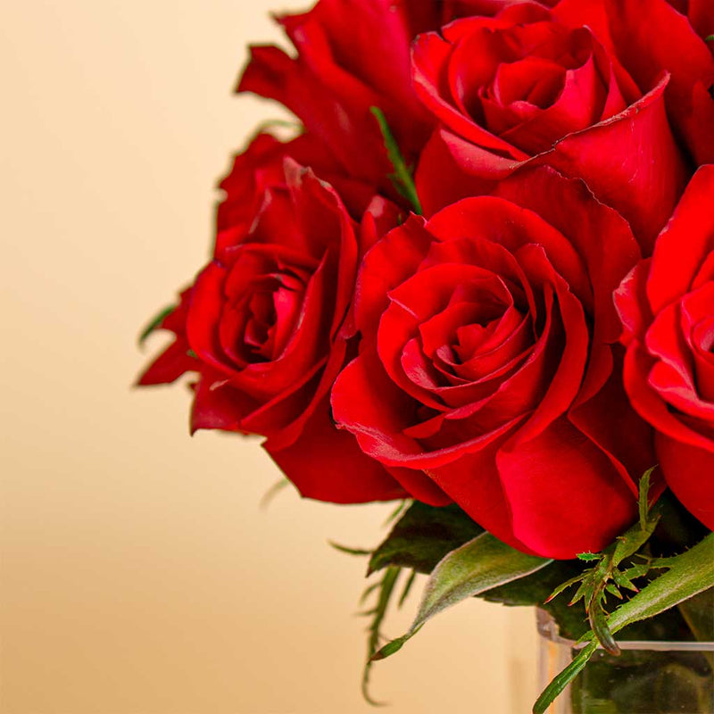 Nuit Crimson Brew Perfume & Red Roses Vase