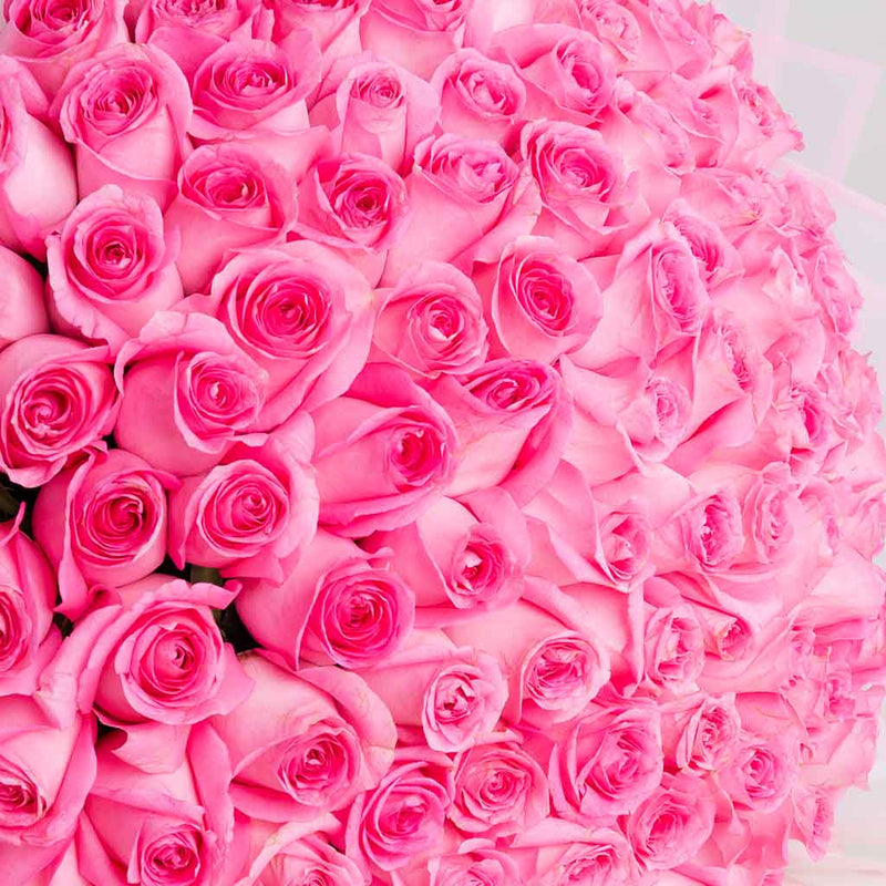 100 Pink Roses bouquet