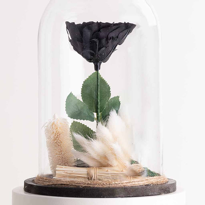 Black Eternity Rose