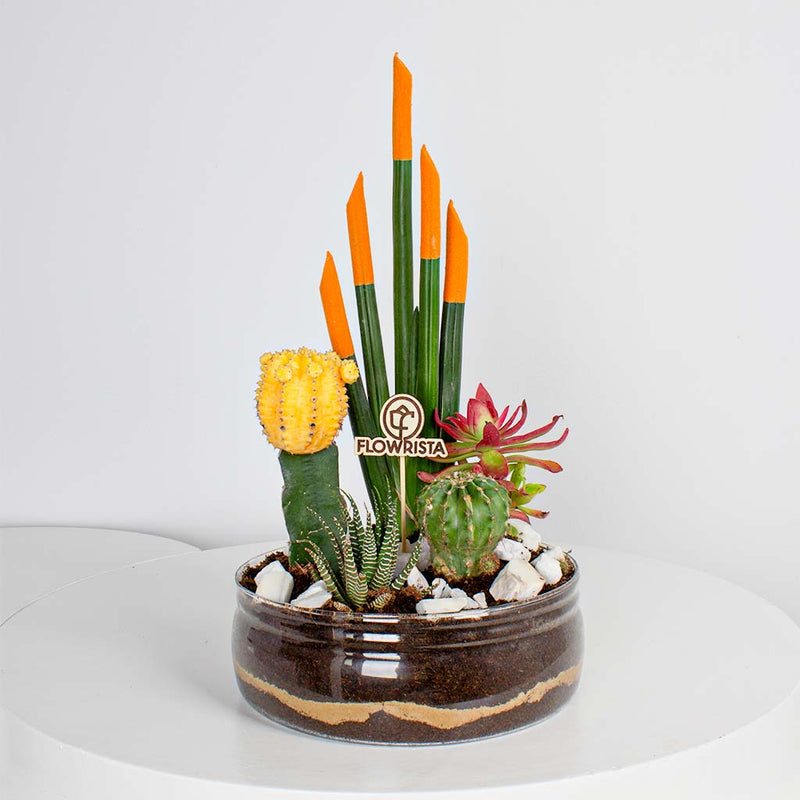 Cylindrical Snake Plant & Yellow Moon Cactus Vase Ii