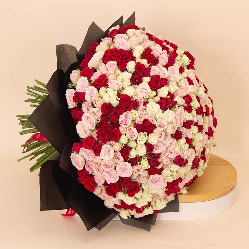 Flowrista | Bouquet of 250 White, Pink & Red Roses