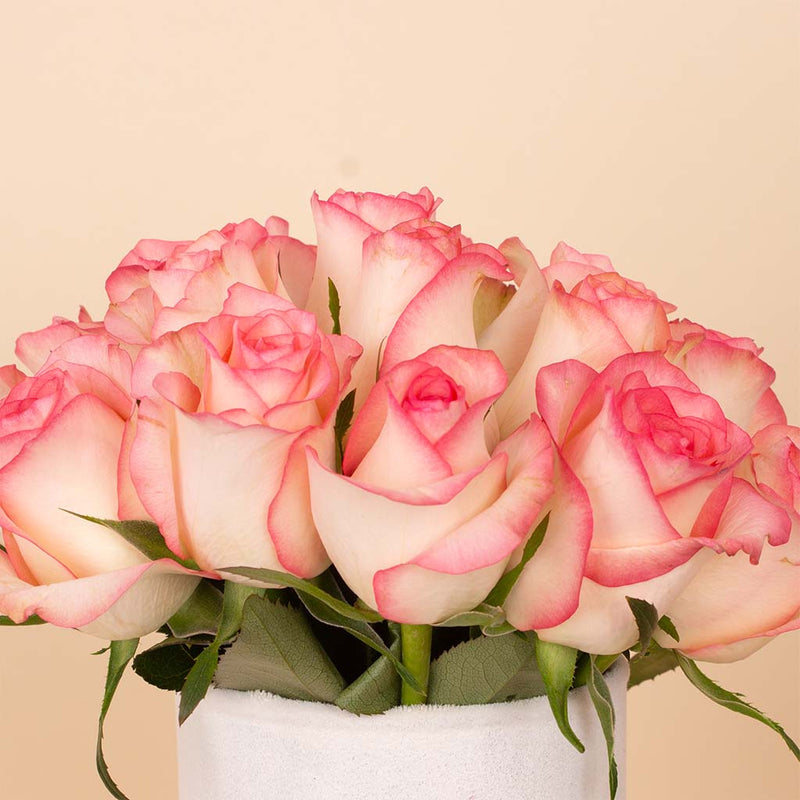 Pink Signature Vase - 20 Stems