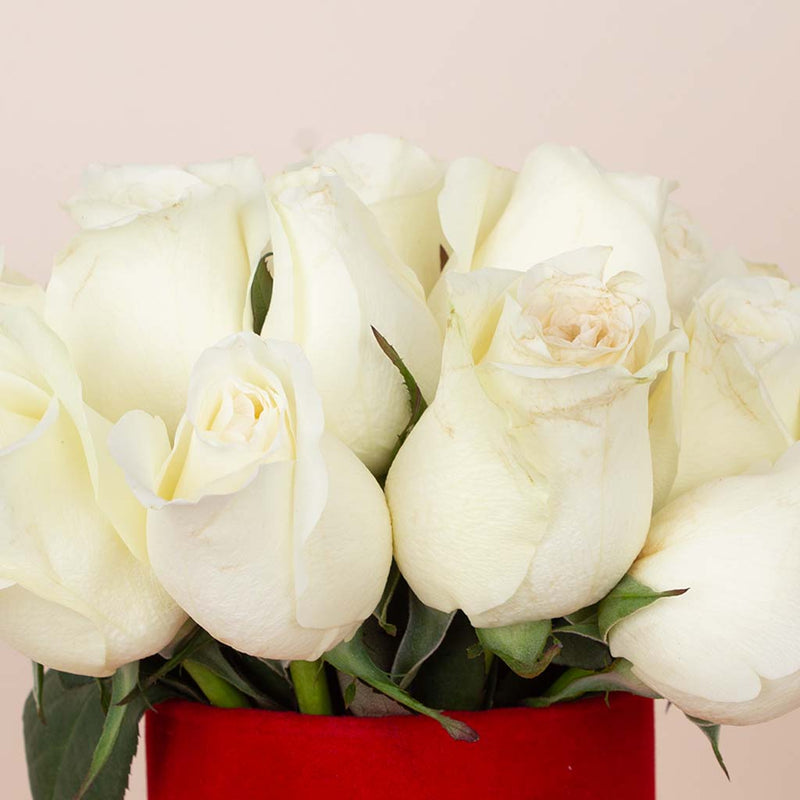 White Glow Vase - 20 Stems