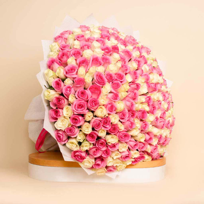 250 Pink And White Roses bouquet