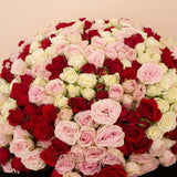 Flowrista | Bouquet of 250 White, Pink & Red Roses