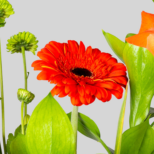 Yellow Lilies & Orange Gerberas Vase