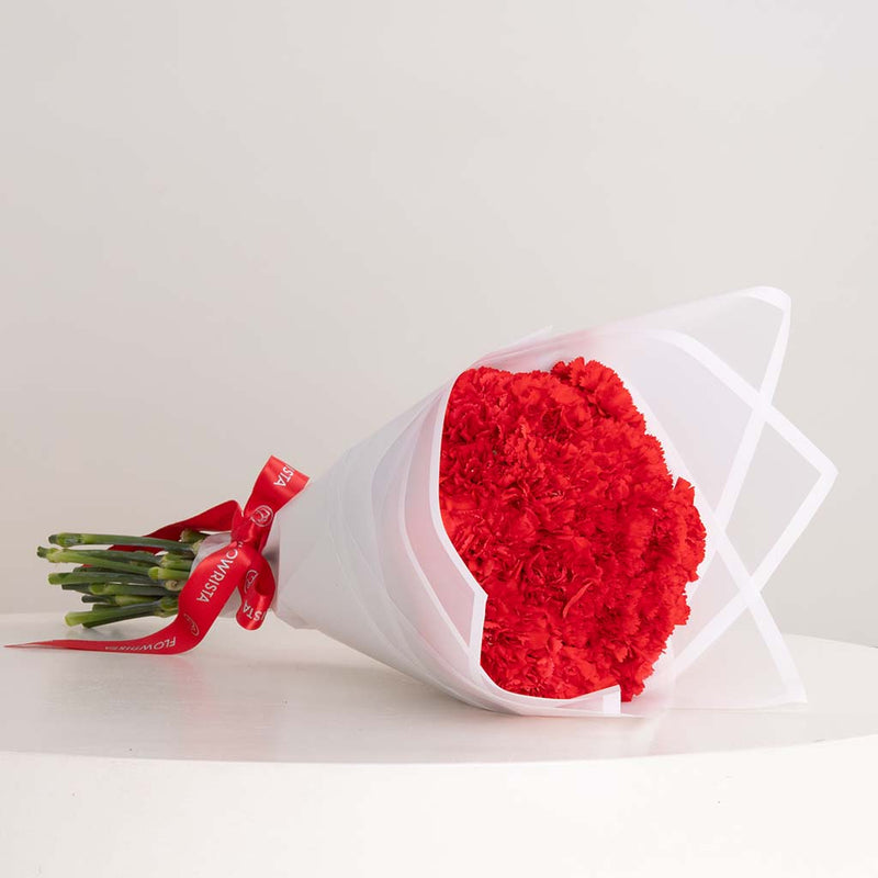 Carnation Grace