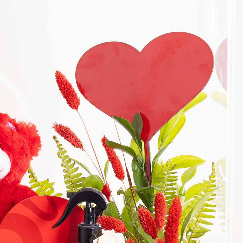 Valentine Scarlet Box