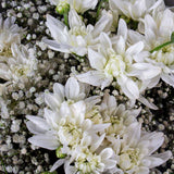 Flowrista | Baby Flower & Chrysanthemum Hand Bouquet