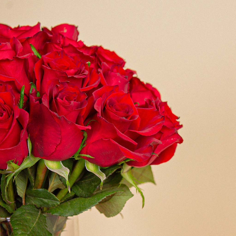Red Passion Vase | 20 Red Rose