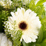 Whisper of White – Gerbera & Caranthantum Vase