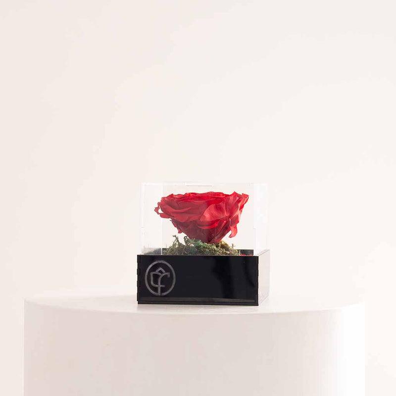 Eternity Rose Box